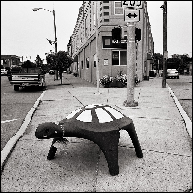 A giant concrete sculpture of the turtle known as the Beast of Busco stands on the sidewalk in the middle of the small town of Churubusco, Indiana.