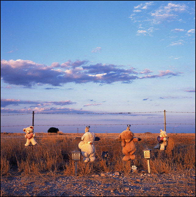 A roadside memorial with teddy bears and wooden crosses on US-285 near Artesia, New Mexico during a beautiful sunset.
