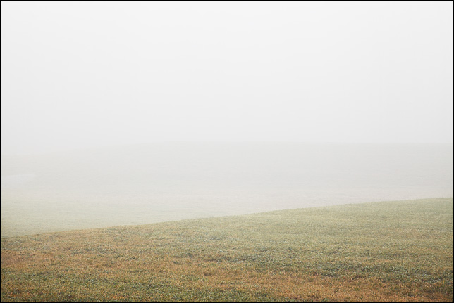 Dense fog over a rolling green landscape on a December morning in rural Allen County, Indiana.