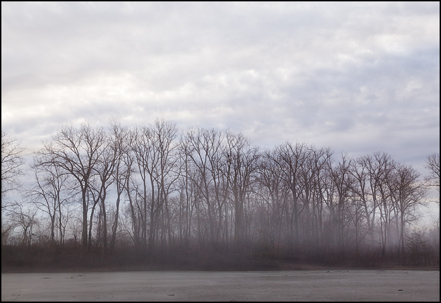 Trees on the edge of a pond on a foggy morning at Hodell Acres, the WMCA summer camp on Elmhurst Drive in Fort Wayne, Indiana.
