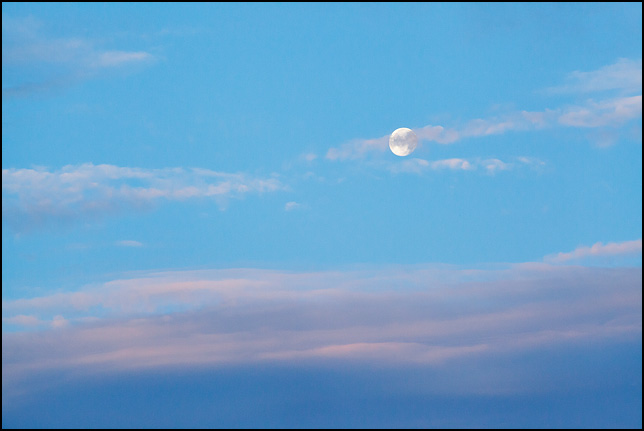 The moon in the early morning sky at dawn over Fort Wayne, Indiana.