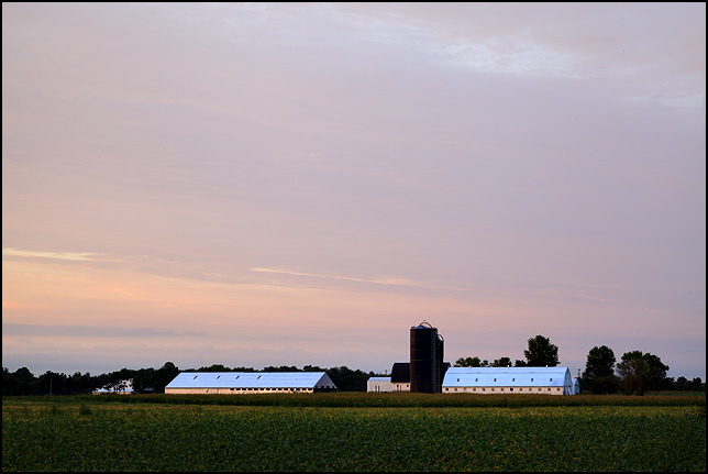 Barns and silos next to a soybean field glow in the warm light of sunset in rural Allen County, Indiana.