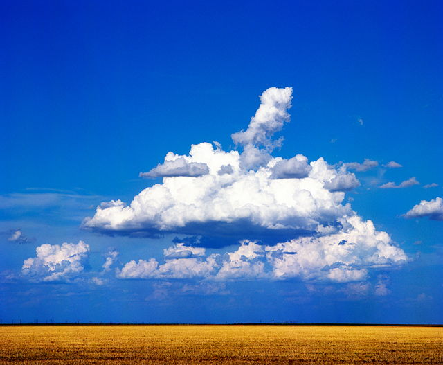 Big clouds hover over a wheat field in Oldham County, Texas near the town of Vega. Bright blue sky and white fluffy clouds in a Texas panhandle landscape.
