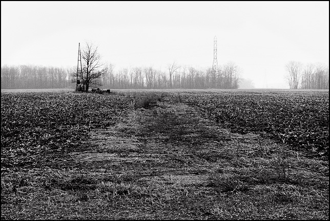 The empty field on Emenhiser Road in rural Allen County where Richard Youse's house once sat. The remnants of the driveway leading to the windmill are visible in the area between the fields.