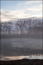 Morning Fog At Hodell Acres #3