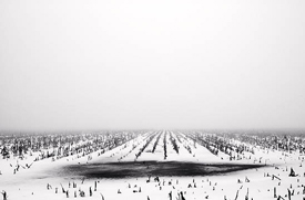 Frozen Field on yohne Road