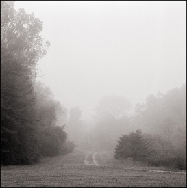 Road Through The Fog #1
