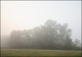 Foggy September Morning #2