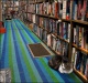 Scout The Bookstore Cat #4