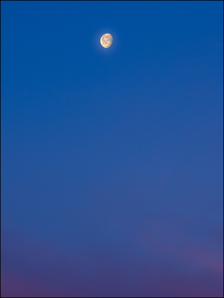 The Moon in an abstract blue and red early morning sky over my neighborhood in Fort Wayne, Indiana.