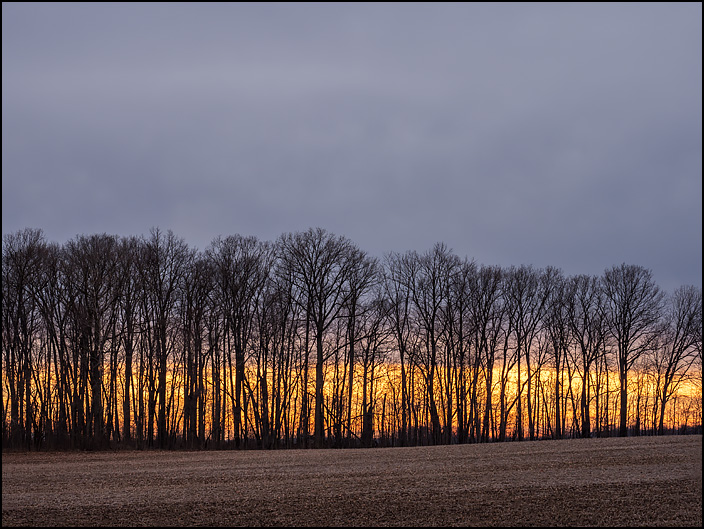 The sun sets behind a line of trees on the edge of a field on US-33 in rural northwest Allen County, Indiana.