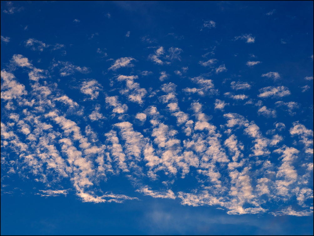 An abstract photograph of blue sky full of small round white clouds in the late evening sky in Churubusco, Indiana.