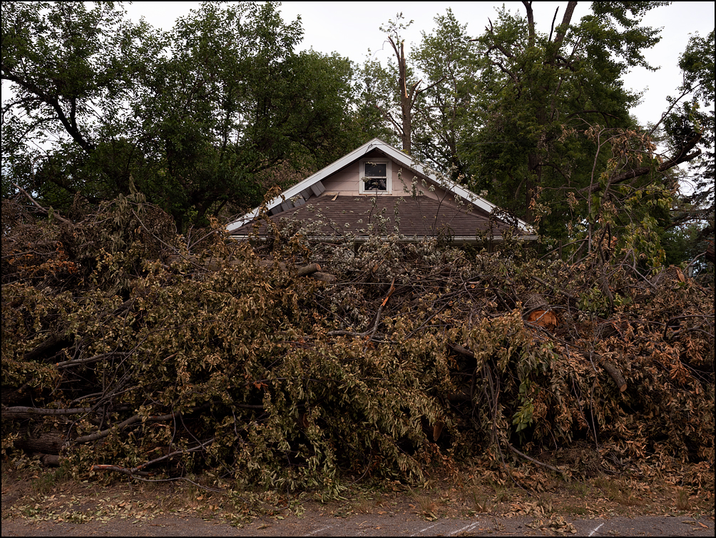 Fallen trees and brush piled high along the side of the road forms a wall that hides a little bungalow house behind it on Arbor Avenue in Fort Wayne, Indiana. This is damage from the 2022 derecho storm.