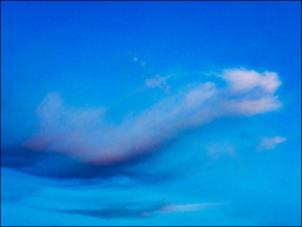 Abstract photograph of clouds in a blue sky that form the shape of a white snake head with dark belly.