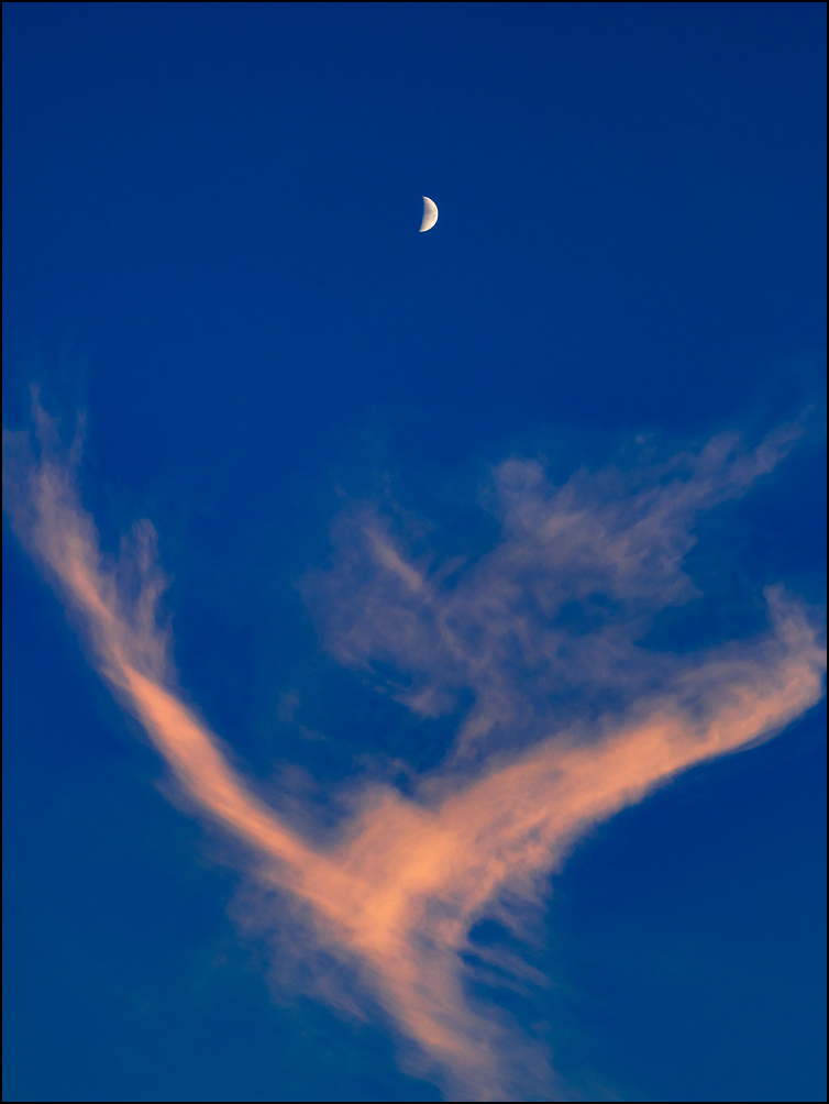 An abstract photograph of orange clouds in the shape of a hand reaching up to the moon.