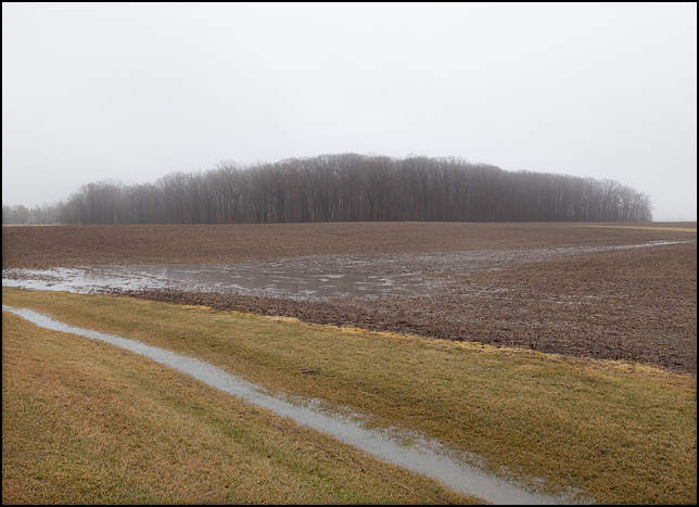 An empty field with pools of standing water on a rainy, foggy January morning with a forest of trees in the background. The field is on Branstrator Road in rural Allen County, Indiana.