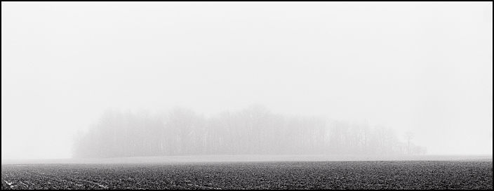 Panoramic photograph of a forest obscured by rain and thick fog in the middle of an empty field along Branstrator Road in Allen County, Indiana.