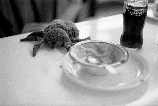 A Hairy the Spider beanie baby crawls on the table at Fort Wayne's Famous Coney Island hot dog stand.
