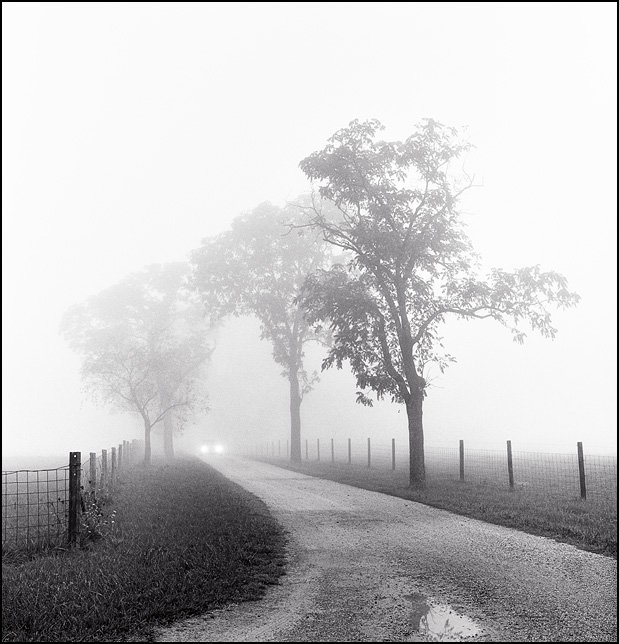 Headlights shine through the milky haze in the distance on a tree lined gravel drive in rural Indiana on a foggy morning.