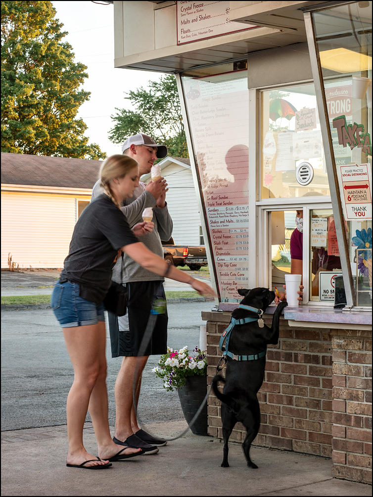 A couple eating ice cream cones while their black dog stands with his front paws on the counter at the ordering window at the Magic Wand Restaurant  in the small town of Churubusco, Indiana.