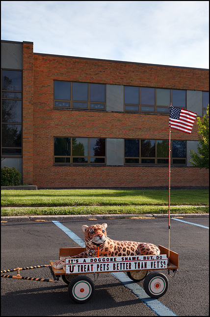 A childs wagon with an American flag, a plush toy leopard, and a sign that says, Do you treat pets better than vets? 2016 Waynedale Memorial Day Parade.