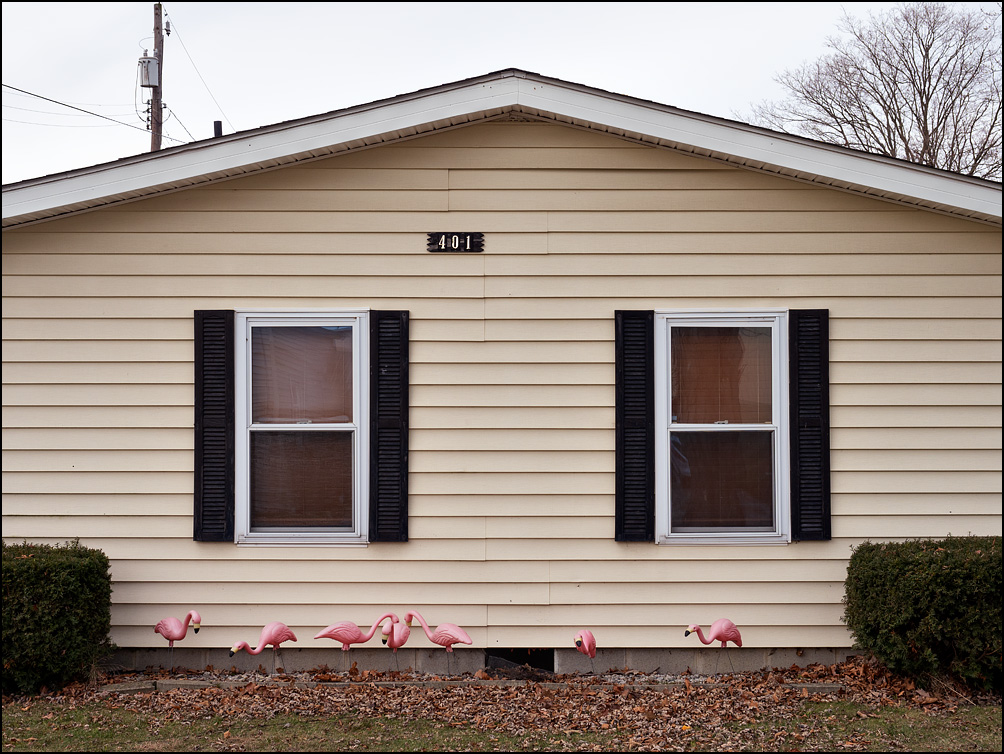 A flock of plastic pink flamingos lined up next to a yellow ranch-style house on Elm Street in the small town of Payne, Ohio.