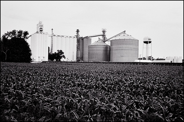 The Starke County Co-Op grain elevator next to a cornfield on the edge of the small town of Hamlet, Indiana. A water tower stands next to the silos.