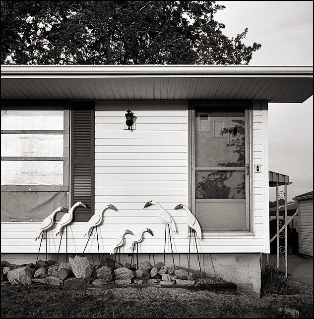 Wooden storks decorate the front of a small house in rural Indiana.
