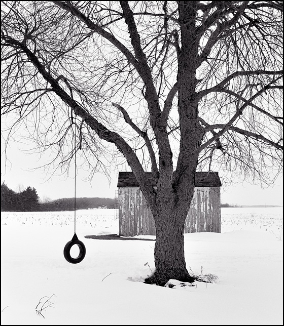A tire swing hangs from a tree in front of an old tool shed during the winter in rural Allen County, Indiana.