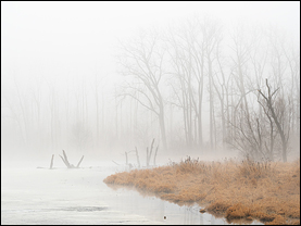 Foggy January Morning At Eagle Marsh #2