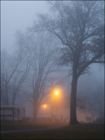 Trailer Park On A Foggy Morning