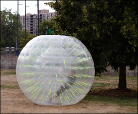 Zorbing at the Three Rivers Festival