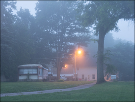 Foggy August Morning #1