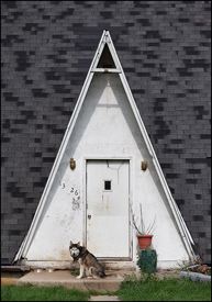 A-Frame House and Dog at Lake Everett