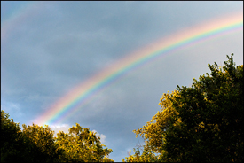 Backyard Rainbow #2