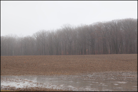 Rainy January Morning in Rural Indiana #2
