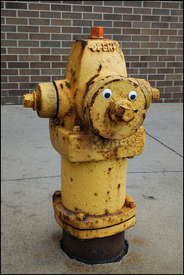 Downtown Fire Hydrant