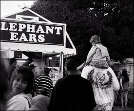 Waiting For Elephant Ears
