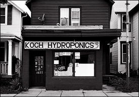 Koch Hydroponics