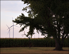Rural Ohio Landscape #1