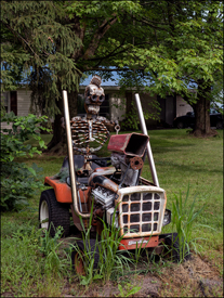 Skeleton-Tractor Newspaper Box
