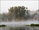Foggy July Morning At Eagle Marsh #3