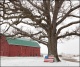 Barn and Tree on O'Day Road #2