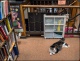 The Cats at Hyde Brothers Books