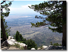 Pine trees and rocks on top of the Sandia Mountains frame a bird's eye view of Albuquerque, New Mexico.