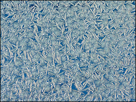 Abstract photographs of ice frozen on the windshield of a car.