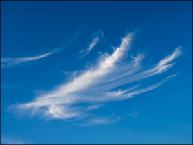 Abstract photographs of a cloud in the sky that looks like a bird in flight.