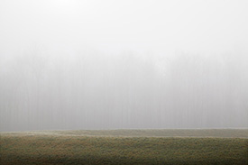 Landscapes in heavy fog on the morning of December 7, 2015 in rural Allen County, Indiana.